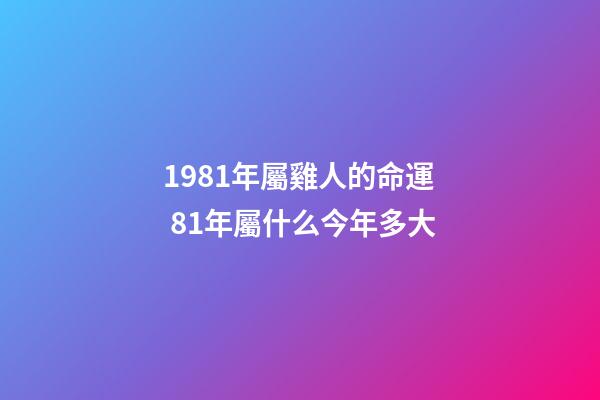 1981年屬雞人的命運 81年屬什么今年多大-第1張-觀點-玄機派
